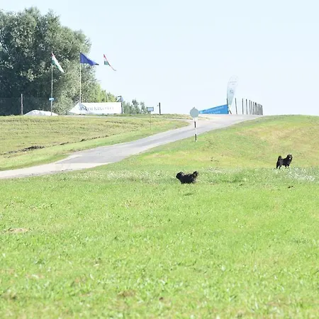 Aquarium Panzio Guest house